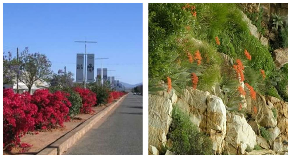 Accommodation in Steytlerville town and surrounding area